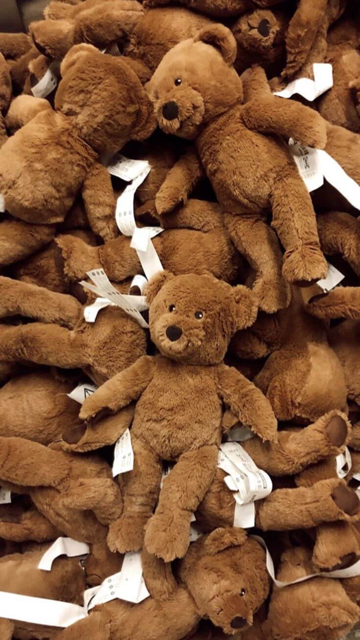 Teddy
